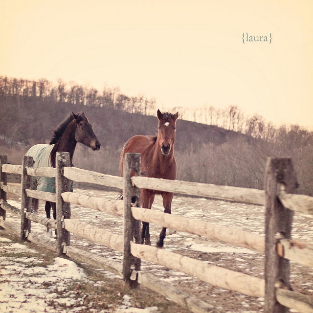 SALE 50% OFF - Horse Photography, Equine, Dreamy Vintage Inspired, Shabby Chic Wall Art , Baby Nursery, Fine Art Photograph