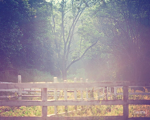 Landscape Photography, Vintage Inspired and Dreamy, Home Decor, Fine Art Photograph 8x10, "LUSH"