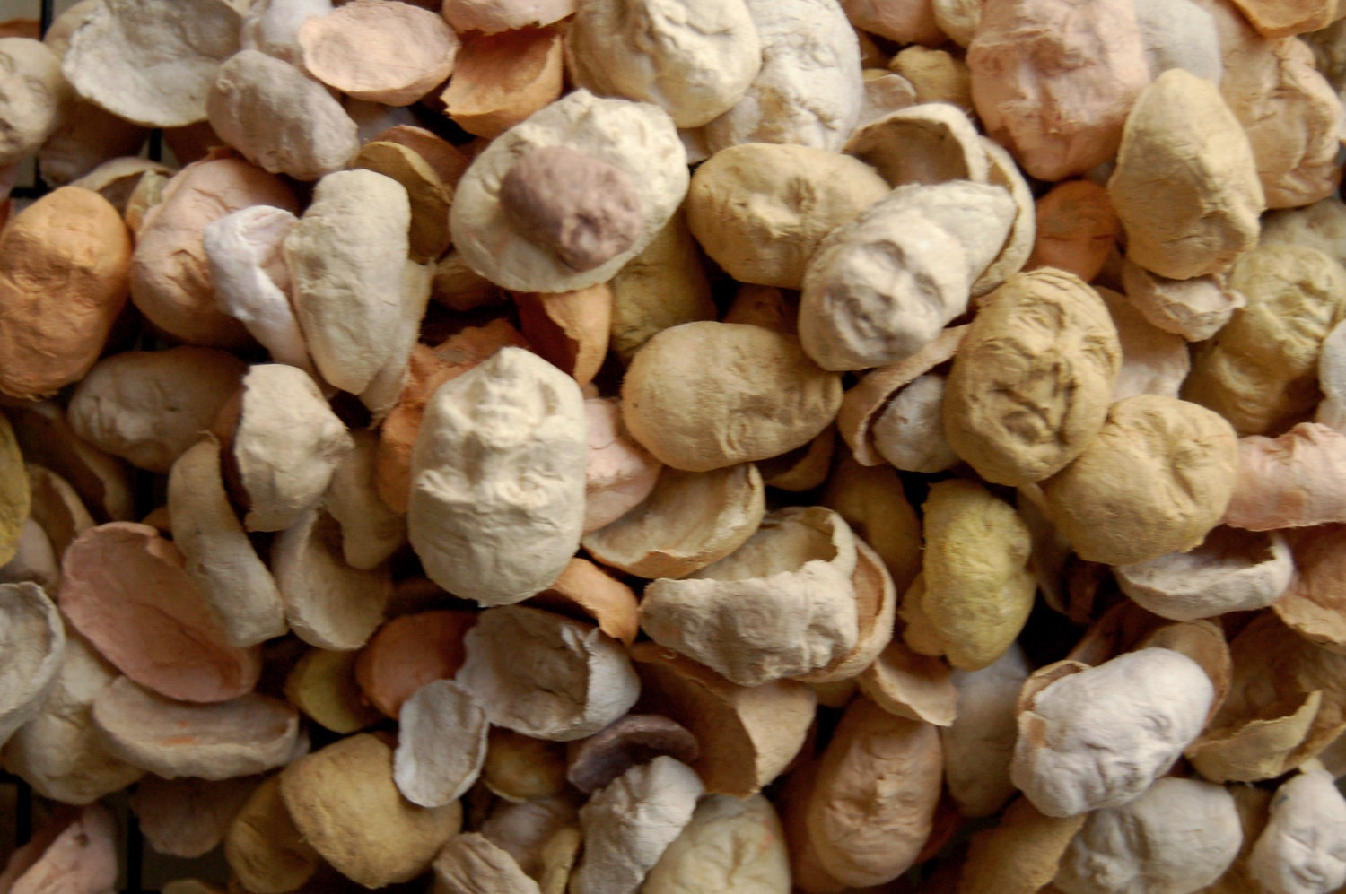 50 Seed Faces