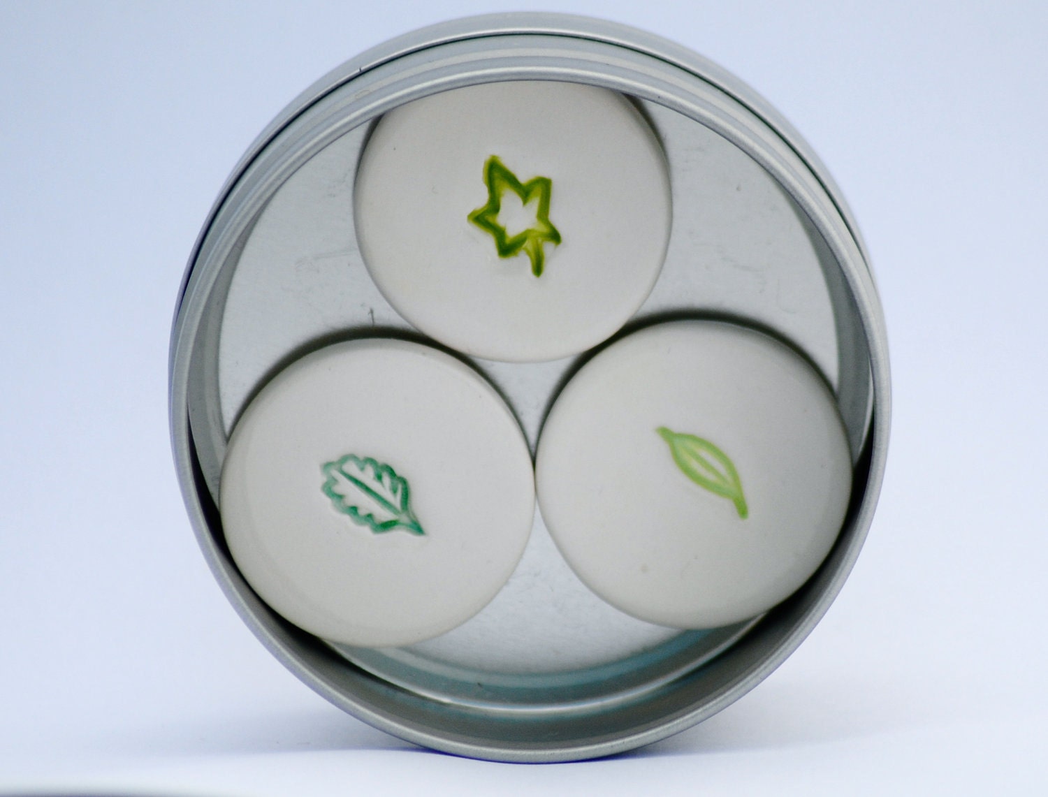 Green Leaves Magnets set of 3 in a tin Spring woodland leaves Forrest Fridge Magnets SALE