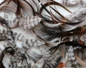 SALE Mixed lot natural saddle feather hair extensions extras - 20-40 natural colors