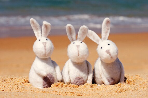Easter CARD Original Photographic 6" x 4" Print on Heavy Card Stock. Easter, Beach, Felted Rabbits, Bunnies, Cute, bunny rabbits