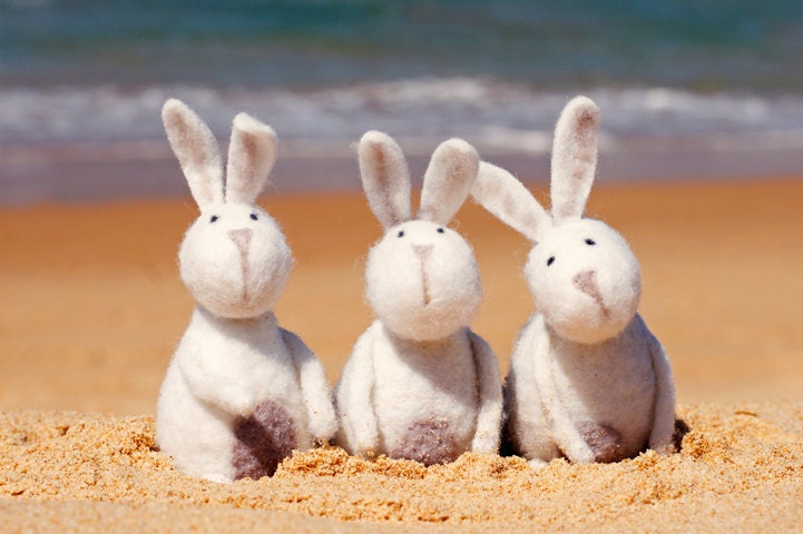Easter CARD Original Photographic 6" x 4" Print on Heavy Card Stock. Easter, Beach, Felted Rabbits, Bunnies, Cute, bunny rabbits