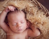 STOREWIDE SALE - Soft, Cozy, Cuddly Faux Fur Nest - Perfect Newborn Photography Prop - Plush Long Pile - Tan Faux Fur Photography Prop