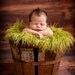 SALE - Olive Faux Fur Photography Prop - Soft, Cozy, Cuddly Faux Fur Nest - Perfect Newborn Photography Prop