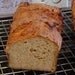 Gluten Free Authentic San Francisco Sourdough Bread Starter