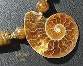Ammonite and Baltic Amber Necklace