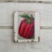 French 'Piment Gros,Doux D'Amerique' Vintage French Seed Label Cottage Plaque