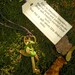 Dragon Necklace, Key Guardian Dragon, Green Dragon, Hand Sculpted dragon, fairy tale, skeleton key necklace