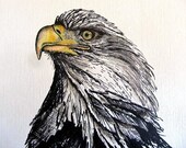 BALD EAGLE- Pen and Ink Original Drawing, 9x12
