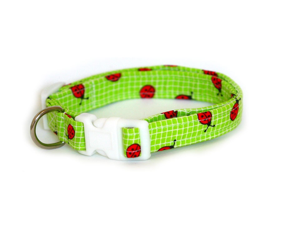 CLEARANCE - Large Dog Collar - Green Ladybug