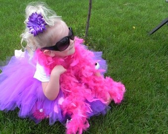 FaNcY NaNcY and the Posh Puppy iNsPiReD Tutu Set