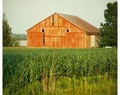 Happy Barn