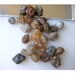 Wholesale Rough Diamonds - Rough Diamond Pieces Direct From The Mines - Multicolored - 13 Pieces 5mm To 2mm Each Approx.