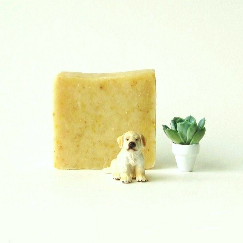 Sweet Orange Cornmeal Soap - Vegan Cold Process Soap // Handcrafted Bar Soap made with organic ingredients