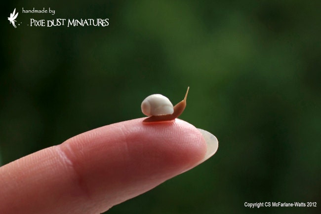 White Snail - GARDEN RANGE