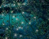 Photo Photograph Photography, Moon Jewels Fine Art Nature Print Night Nighttime Fantasy Wall Nursery Bedroom Teal Blue Green Stars