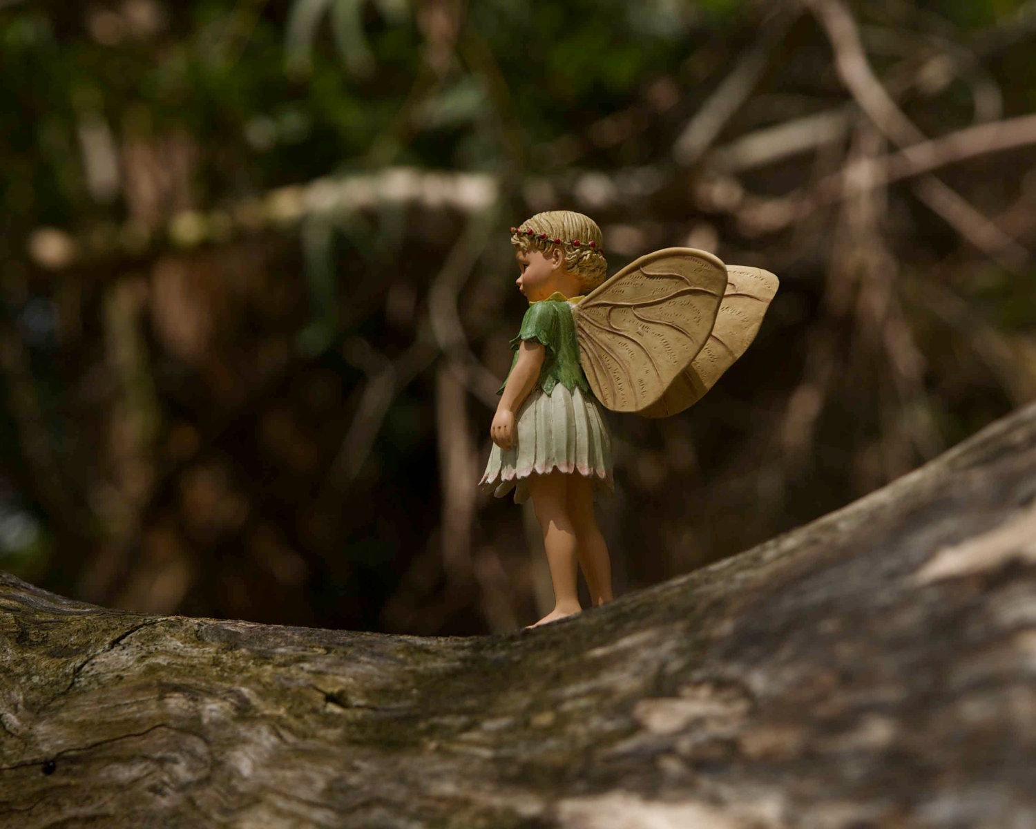 Flower Fairy Photograph, Woodland Fairy, Children, Kids, Home Decor Photo, Nursery Art