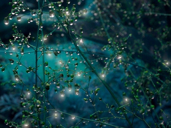 Photo Photograph Photography, Moon Jewels Fine Art Nature Print Night Nighttime Fantasy Wall Nursery Bedroom Teal Blue Green Stars