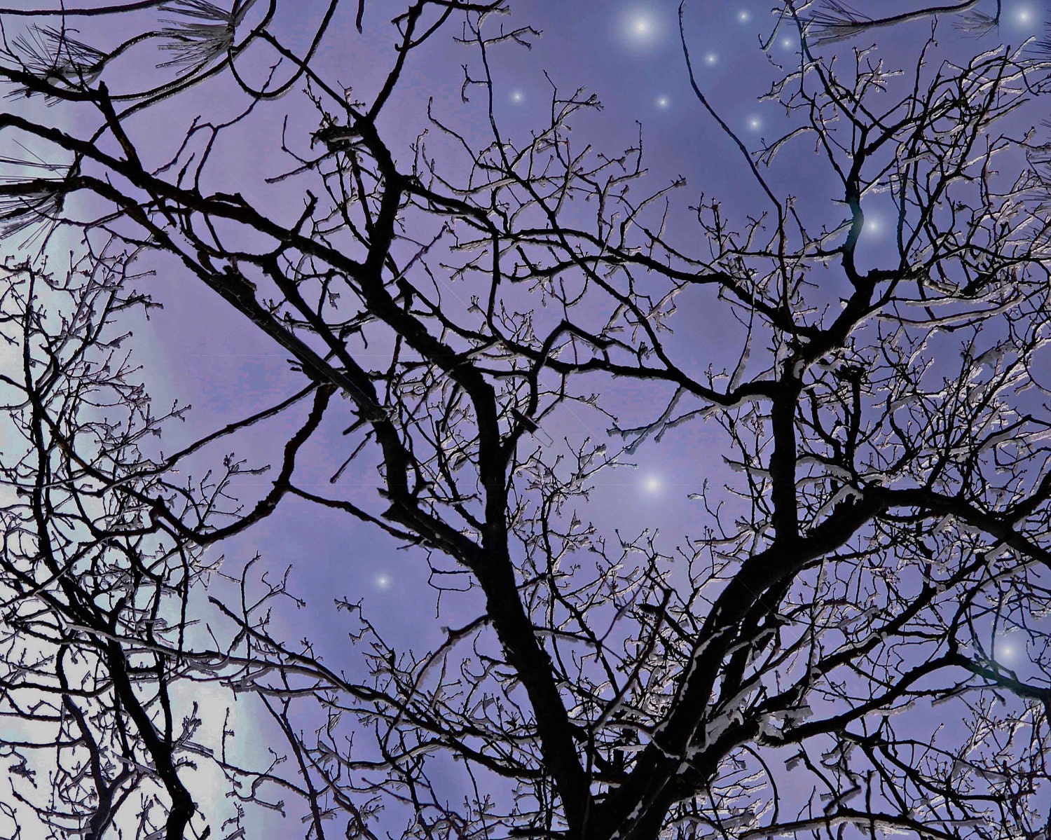 Photo Photograph Photography, Moon Jewels Fine Art Nature Print Night Nighttime Fantasy Wall Nursery Bedroom Teal Blue Green Stars