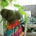 Princess II Tie Dyed Cotton Dress - G1202-4