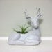 Vintage White Ceramic Deer Planter, White Deer Figurine, 8-Point Buck with Antlers, Woodland Figure, Glossy White Library Decor