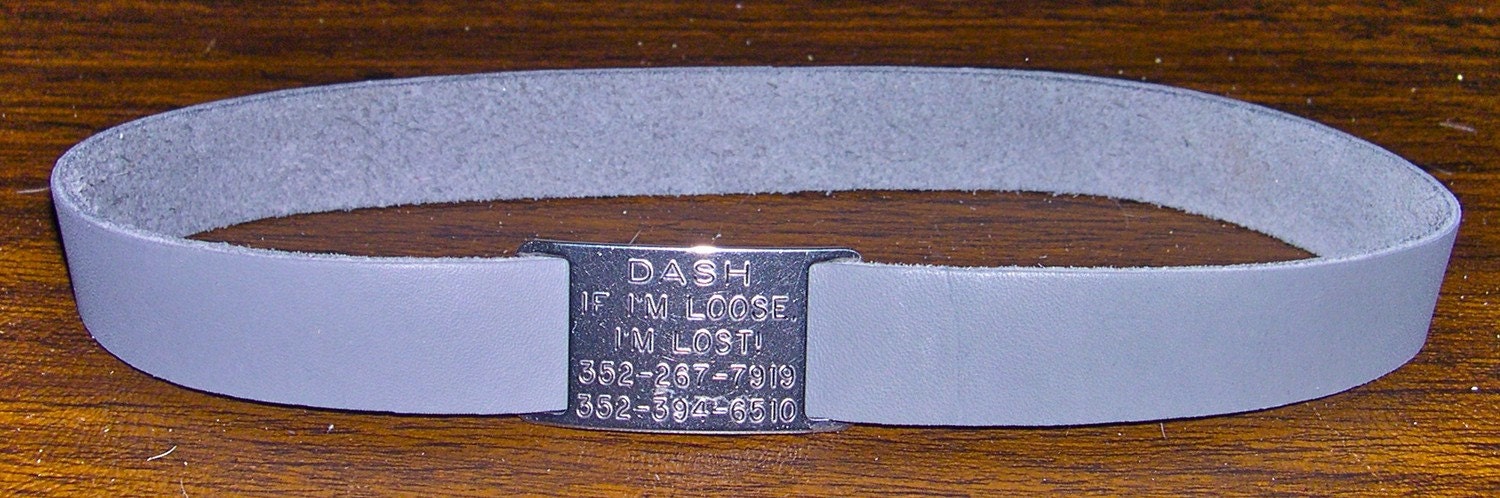 Leather Custom Tag Collar for Greyhounds - Gray