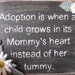 Adoption the heart of a mom
