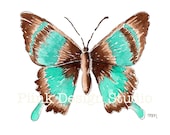 Butterfly, Turquoise (original watercolor, 5in x 7in)