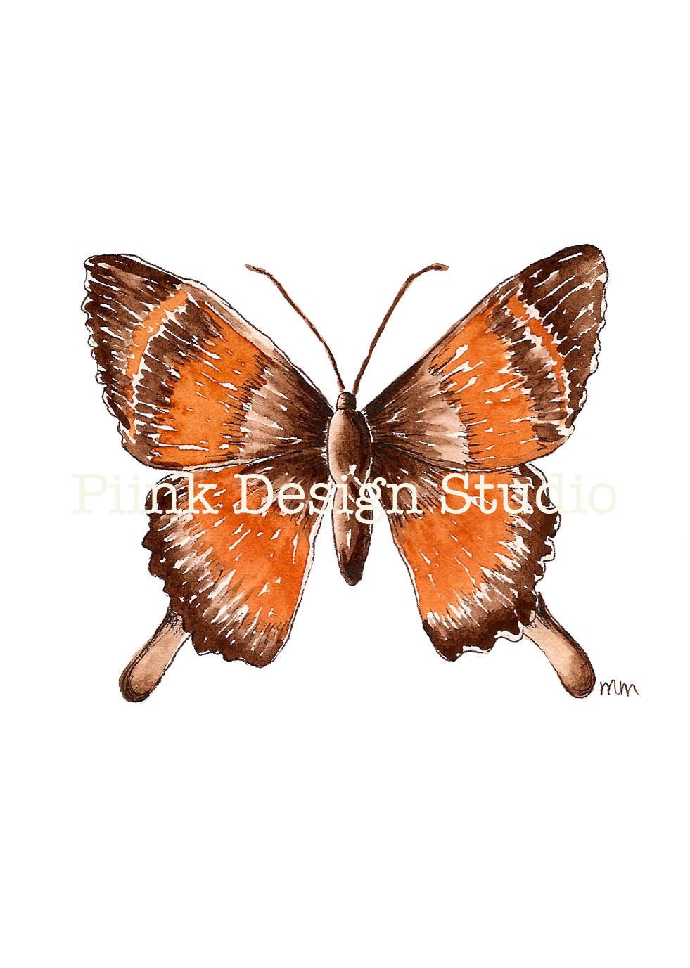 Butterfly, Rust (original watercolor, 5in x 7in)