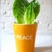 SALE Peace Angel Orange Tumbler