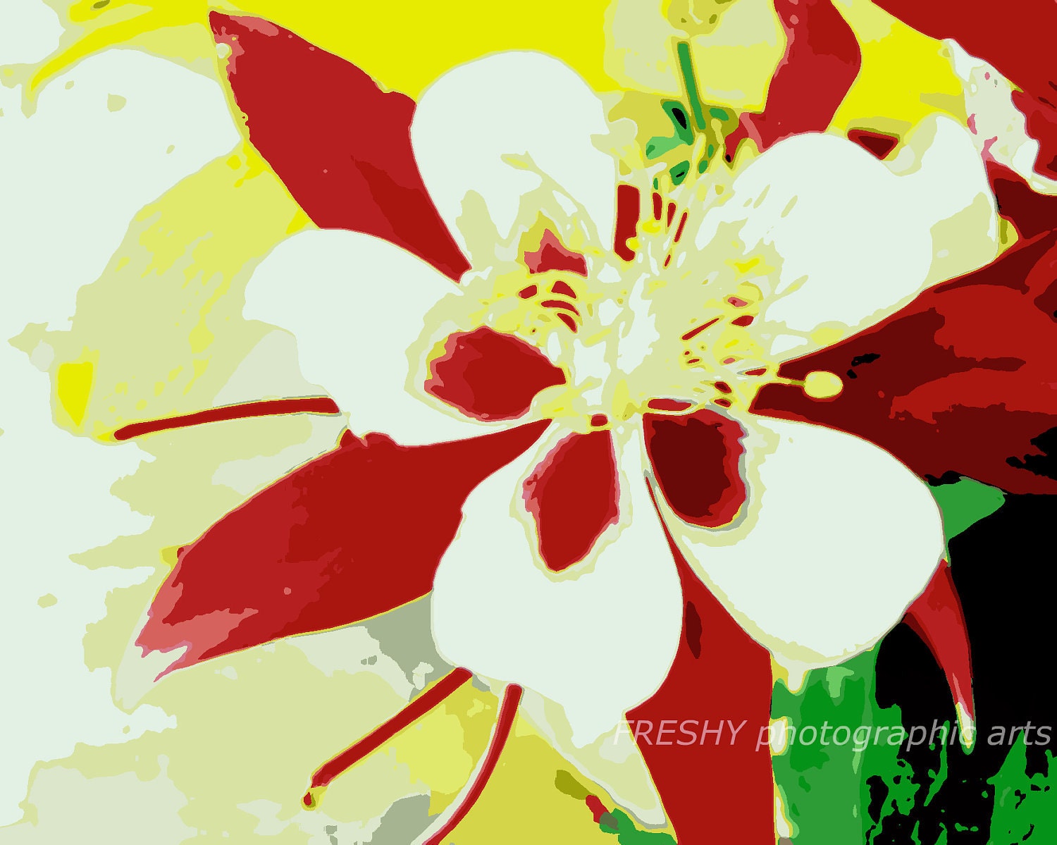 Fleur Rouge - 8x10 Photographic Art Print
