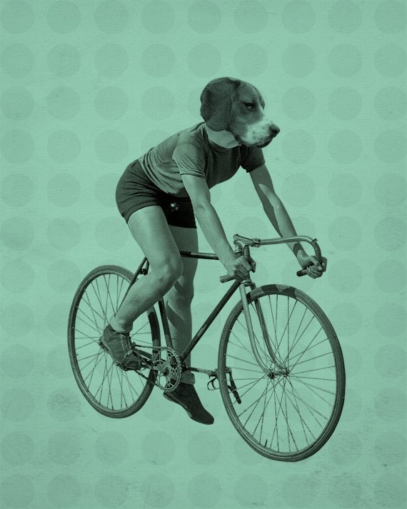Beagle Riding a Bicycle 8x10 Art Print
