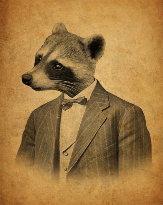 Raccoon in a Suit Portrait 8x10 Art Print