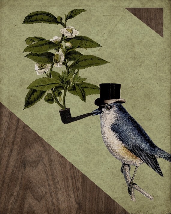 A Bird and His Pipe 8x10 Art Print