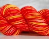 Tulips:  80/20 First-String PLUS SW Merino/Nylon 51212