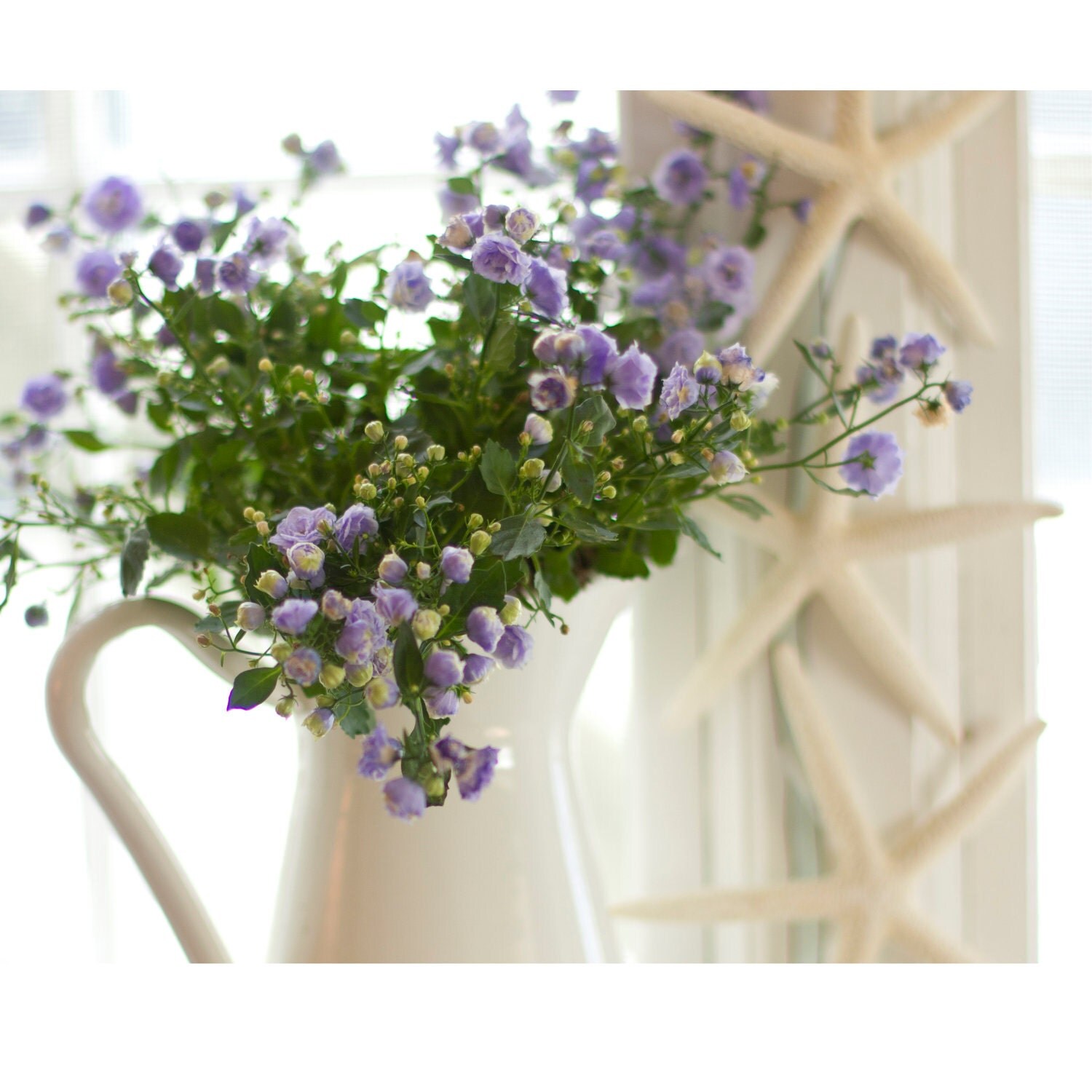 Fine Art Photography Wall Art Cottage Style by cottagelightstudio