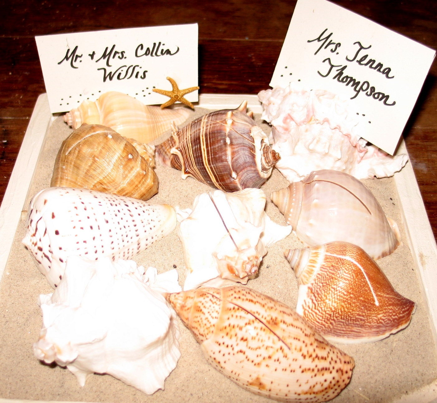 Beach Wedding Placecards in Handwritten Calligraphy Style on Real Sea Shell Holders Cut Shells