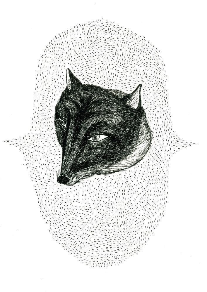 Drawing of a Fox, Detailed drawing, Animal Illustration, Print, Limited Edition, Nature, Black and white, Intricate drawing, 8.3 x 11.7