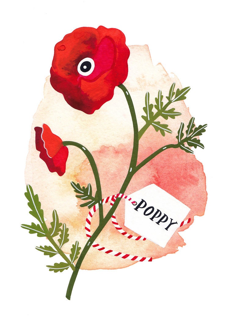 Red Poppy - Archival art print