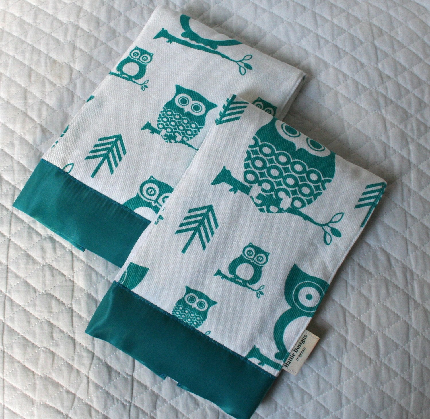 Burp Cloths with Turquoise Owls Set of Two