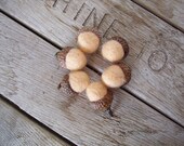 Felted wool acorns, set of 6, pastel sherbet orange
