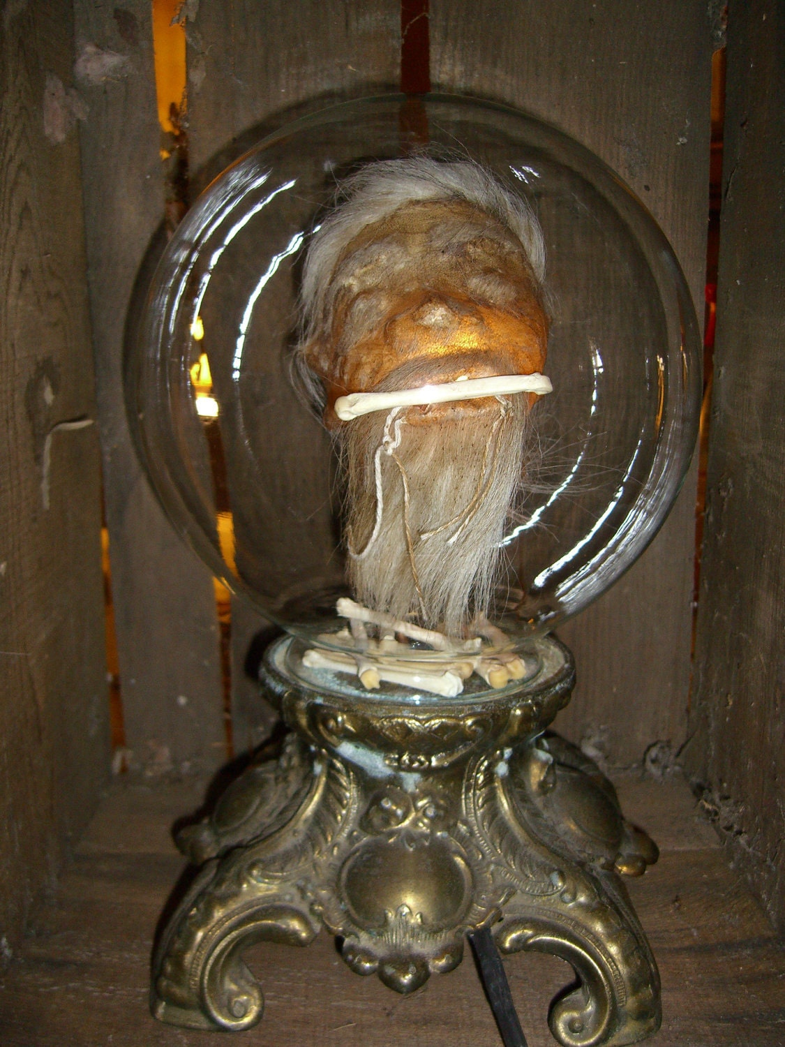 Lighted Fortune Teller Shrunken Head inside a Crystal Ball