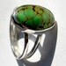 Spring Green turquoise