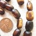Dyed African Bone Beads