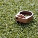 Oh My Gear ring