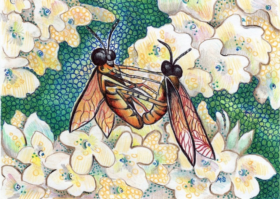 Original Ink Drawing - Fly Love - 5x7" Bug Drawing - Love Bugs - Emerald Green Flower Art
