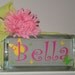 Girls glass block night light- butterflies/daisies