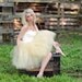 Sewn tutus, Adult wedding tutu, tutu skirt, tulle skirt, womens tutu, wedding dress, bridesmaids dress, champagne tutu