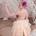 Adult Tutu, vintage wedding dress, vintage tutu skirt, champagne tutu